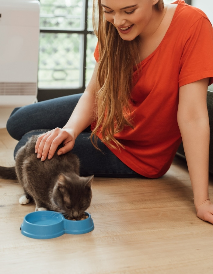 A person in an orange shirt pets a gray cat eating from a blue bowl on a wooden floor.