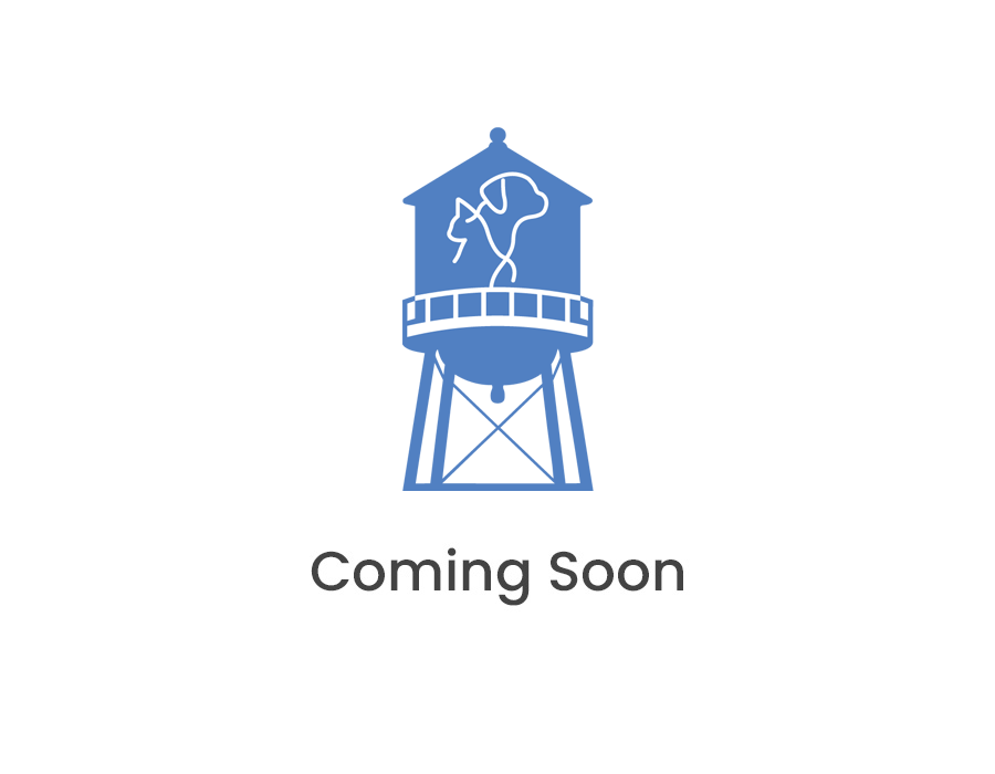 Updated-coming-soon-block Gilbert Veterinary Hospital coming soon placeholder