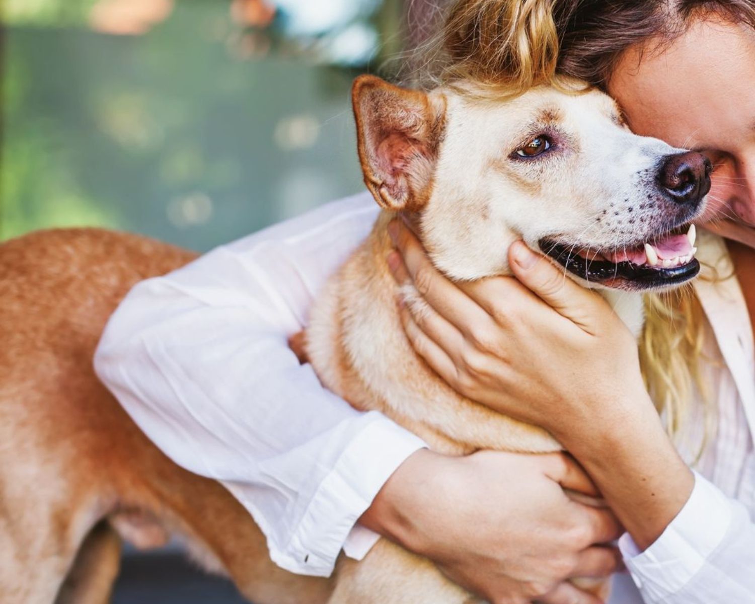 A girl is petting a  dog